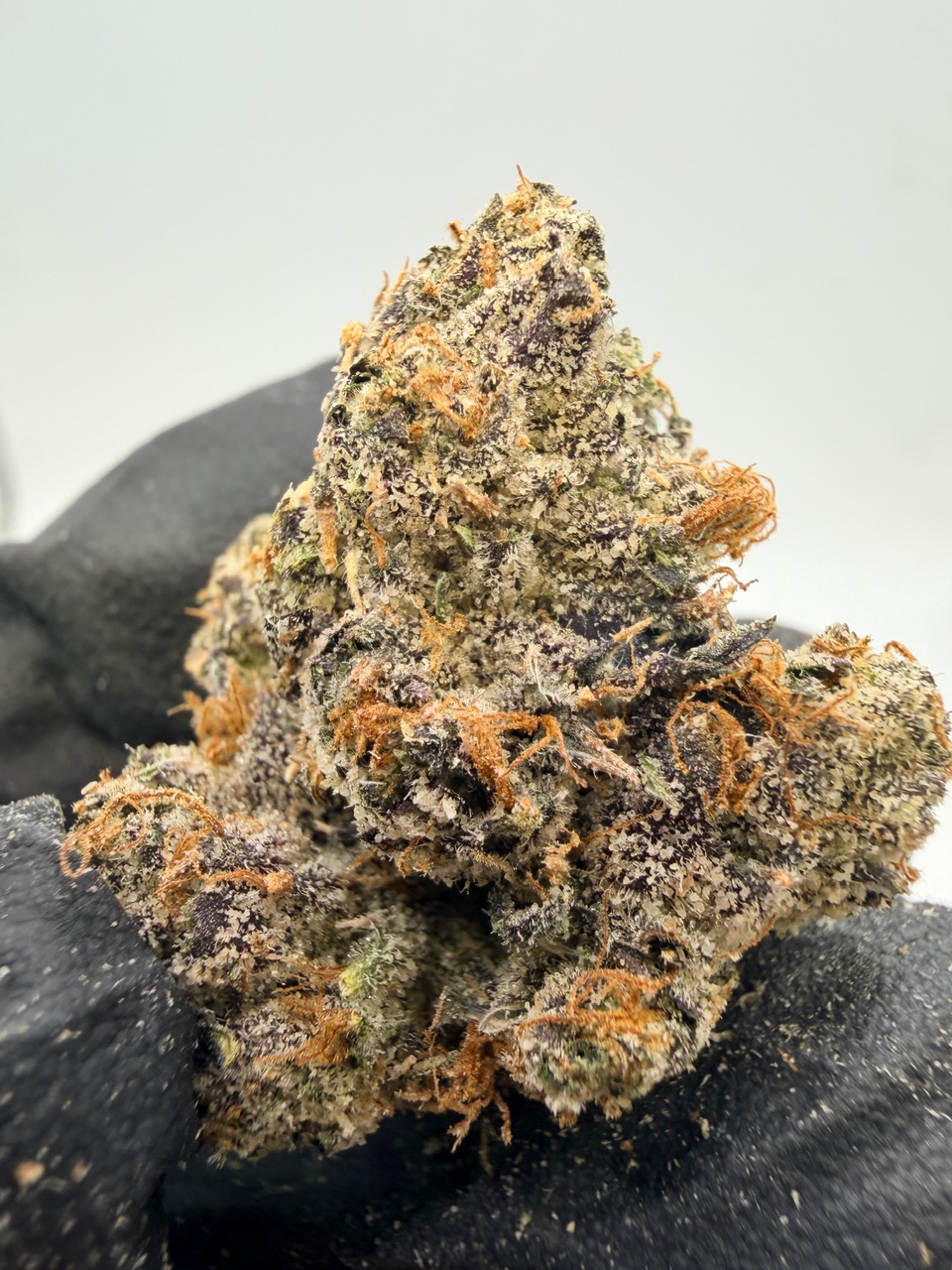 Uncle Snoop Digital Art