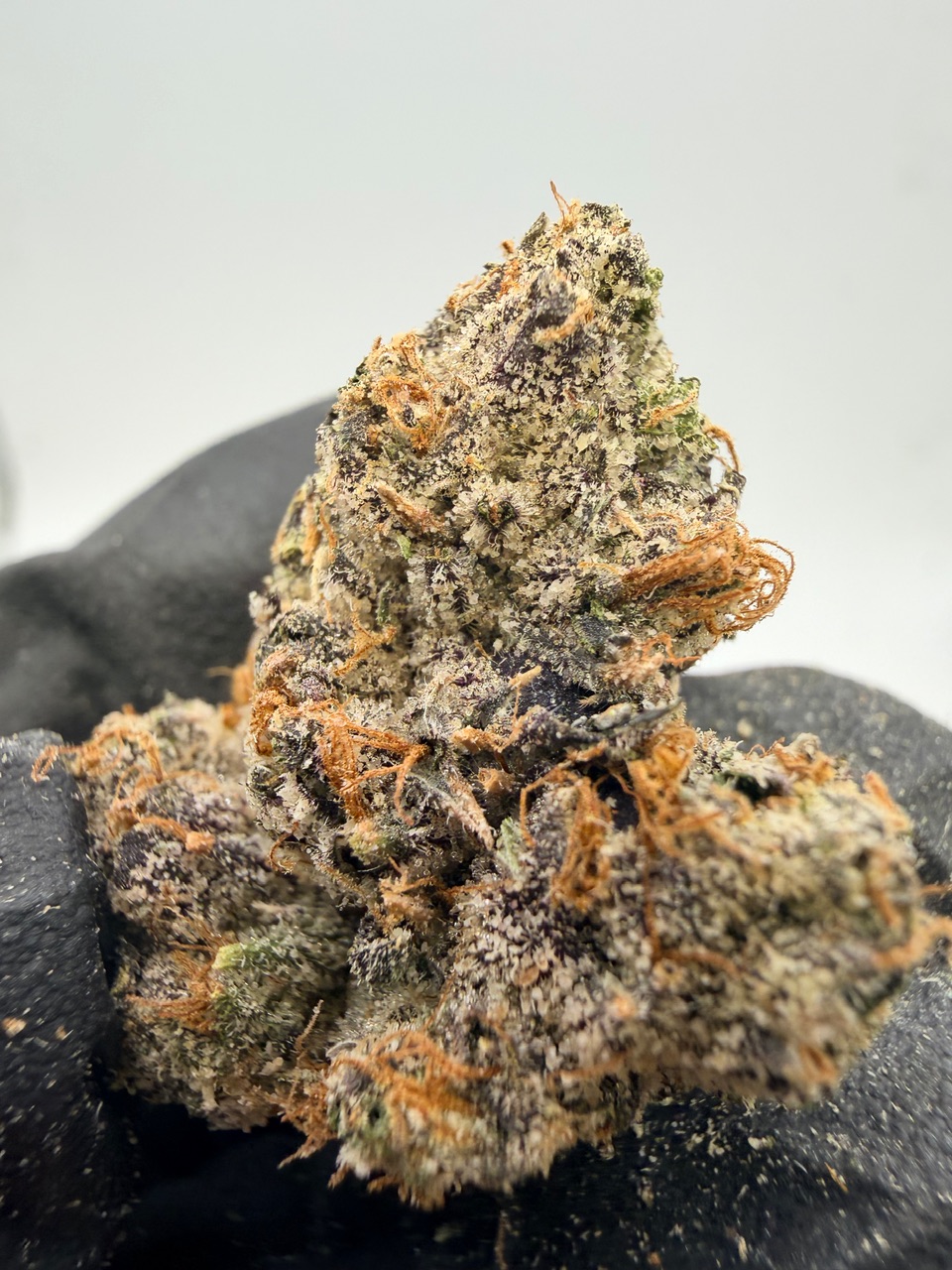 Uncle Snoop Digital Art - Image 8