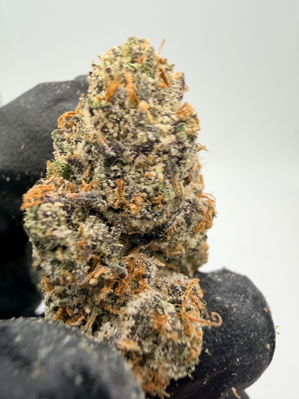 Uncle Snoop Digital Art - Image 12