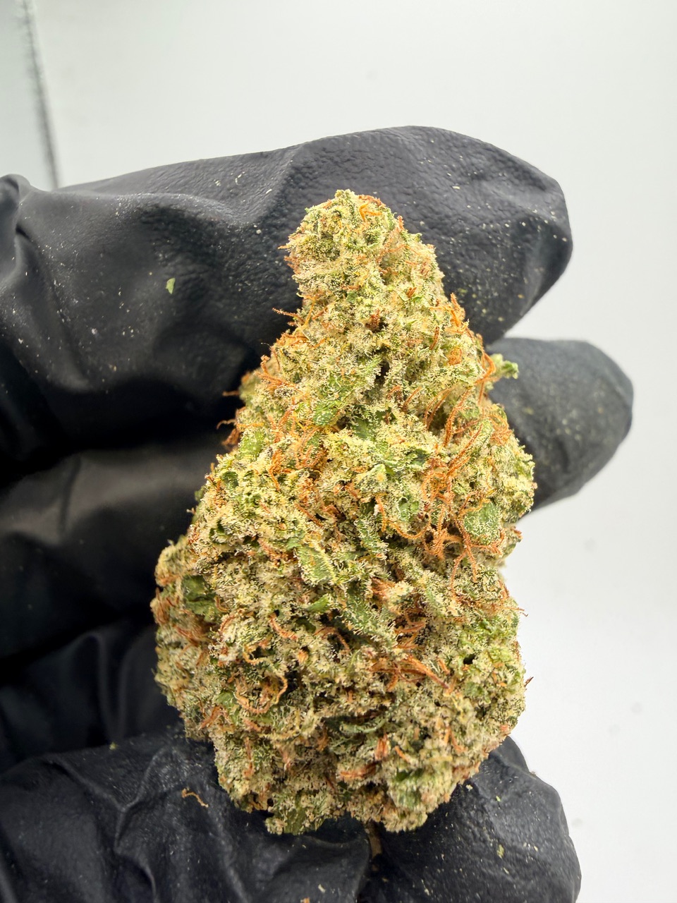 Lemon Tree Haze Digital Art - Image 5