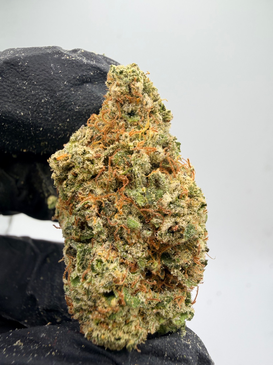 Lemon Tree Haze Digital Art - Image 4