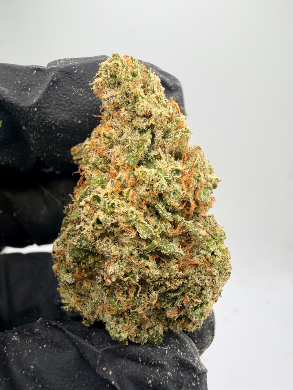 Lemon Tree Haze Digital Art - Image 7