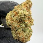 Lemon Tree Haze Digital Art