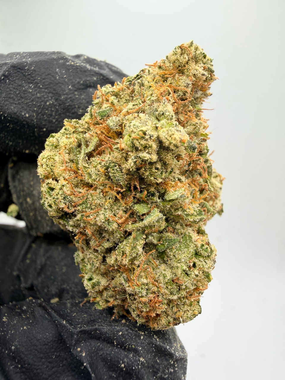 Lemon Tree Haze Digital Art