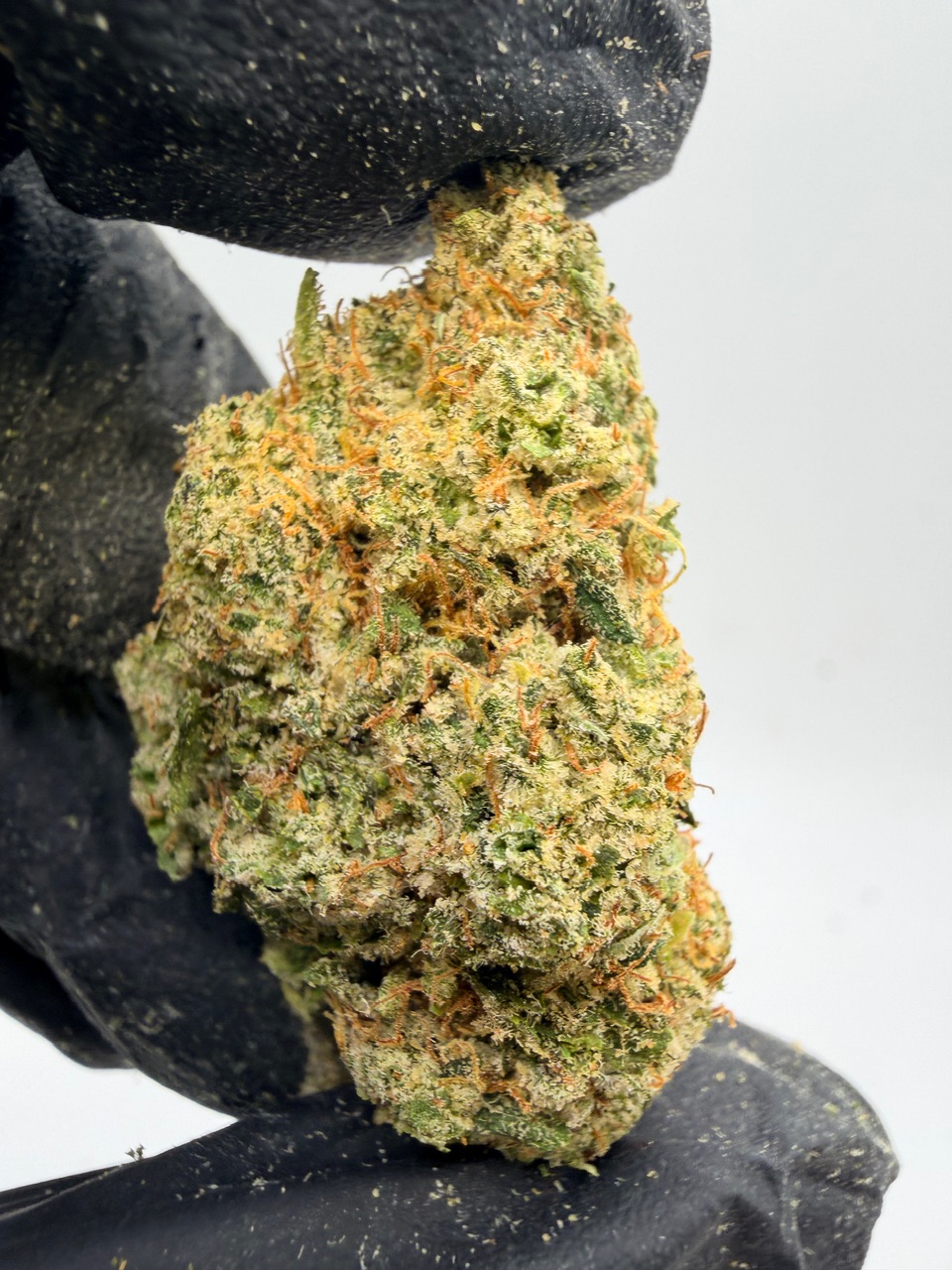 Lemon Tree Haze Digital Art - Image 8