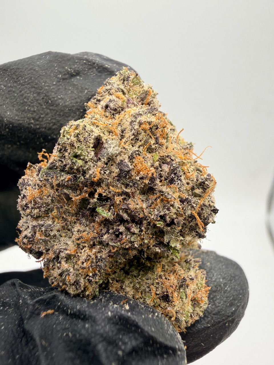 Hog Digital Art - Image 10