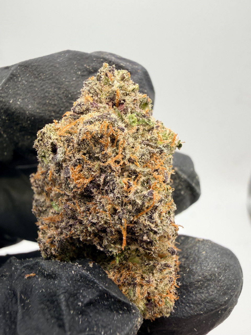 Hog Digital Art - Image 9