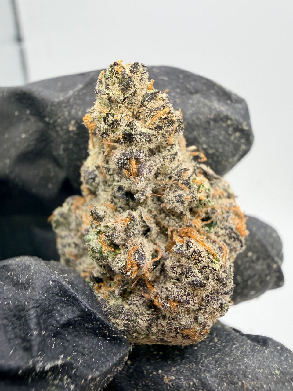 Hog Digital Art - Image 6