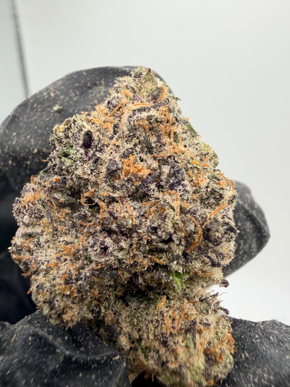 Hog Digital Art - Image 3