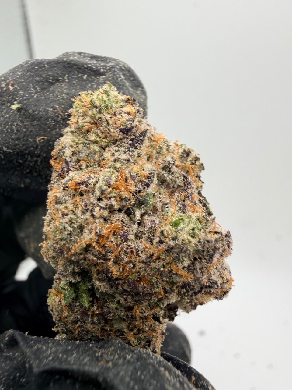 Hog Digital Art - Image 2