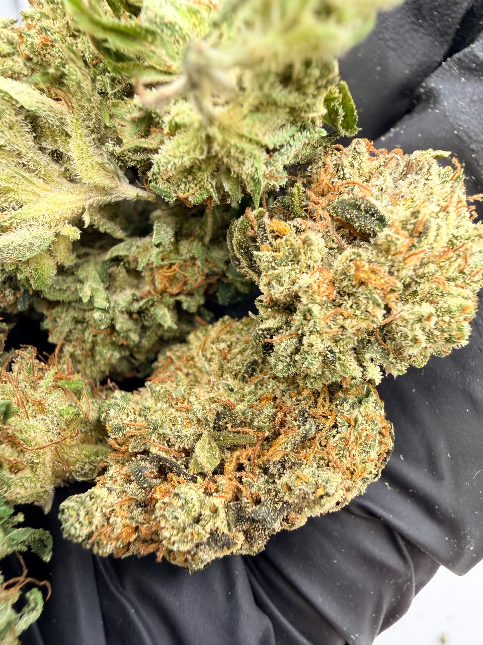 Old School PiFf Digital Art - Image 2