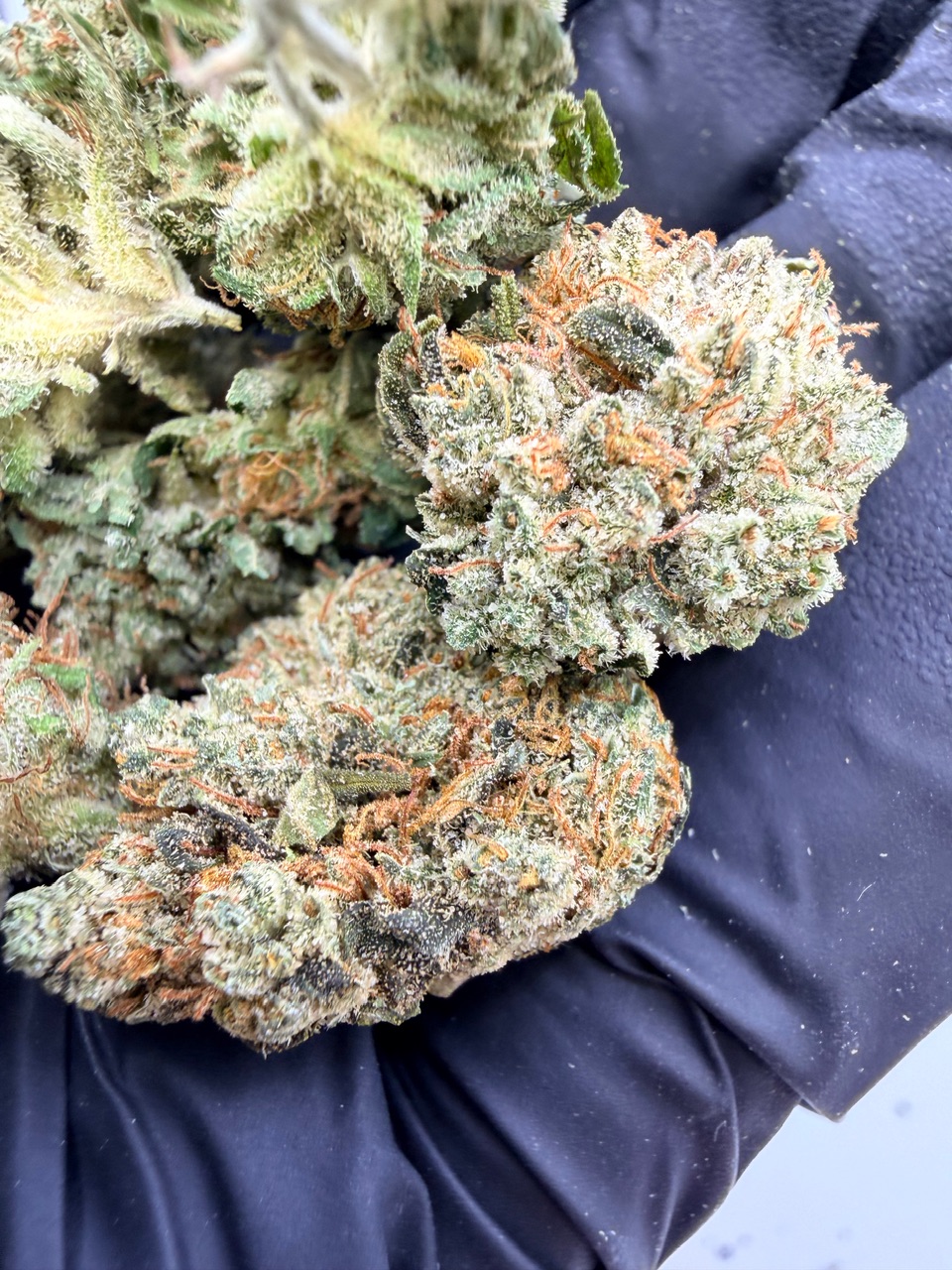 Old School PiFf Digital Art - Image 3