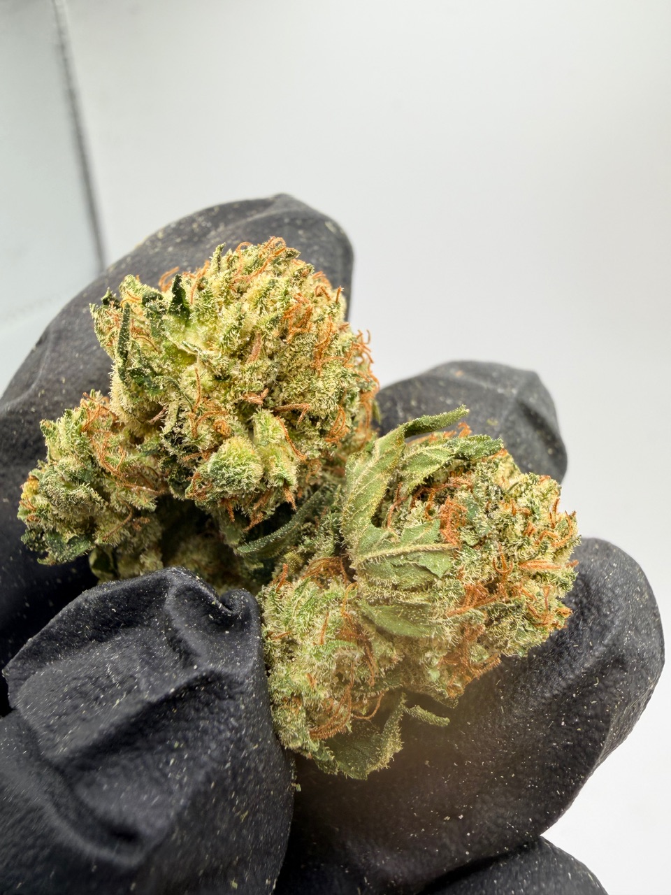 Old School PiFf Digital Art