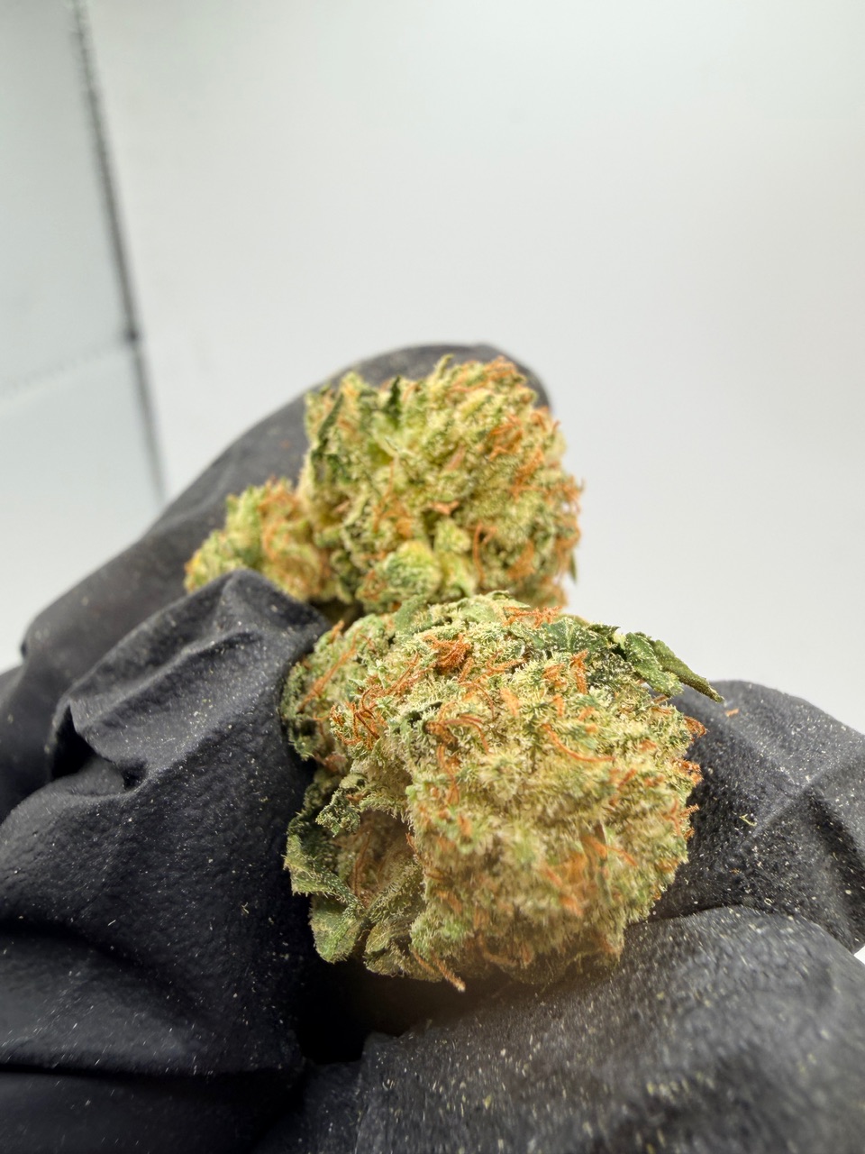 Old School PiFf Digital Art - Image 6