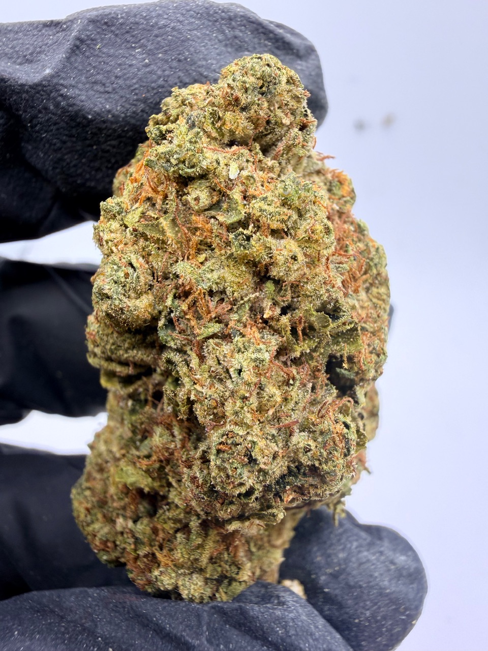 Sour Headband Digital Art - Image 2