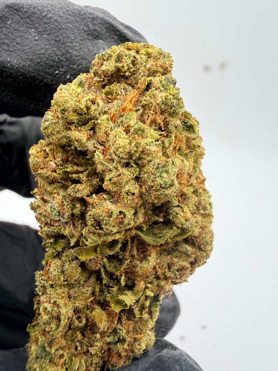 Sour Headband Digital Art - Image 3