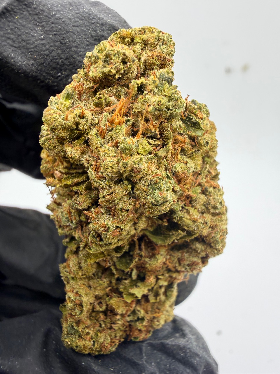 Sour Headband Digital Art - Image 5