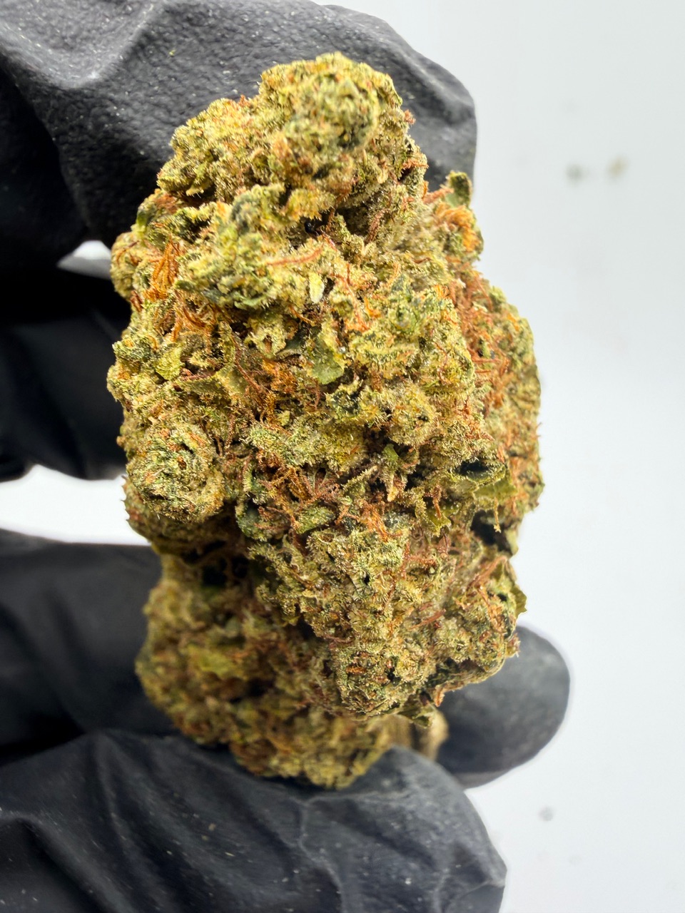 Sour Headband Digital Art - Image 4