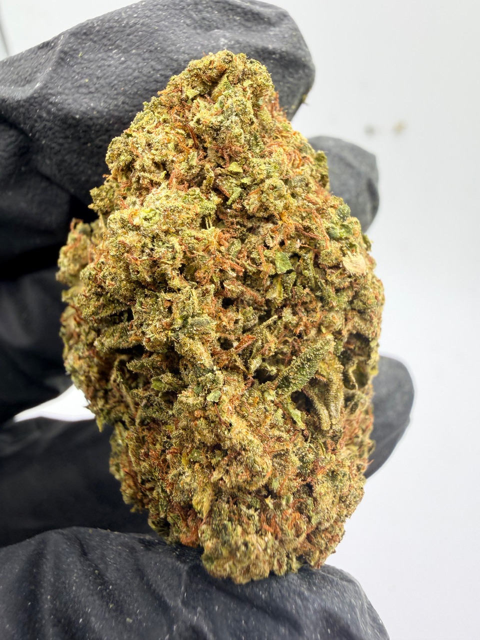 Sour Headband Digital Art