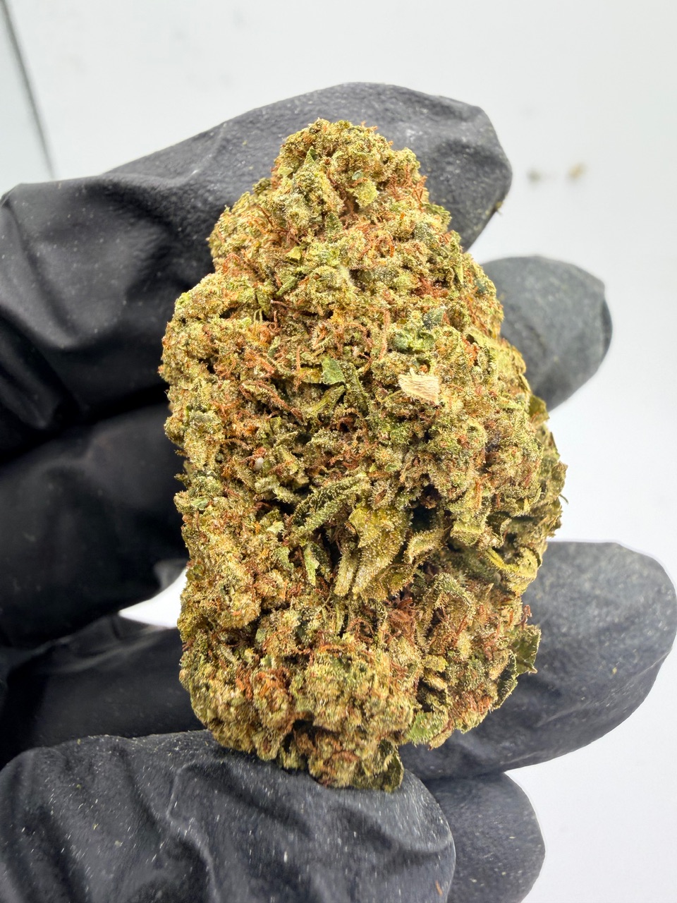 Sour Headband Digital Art - Image 8