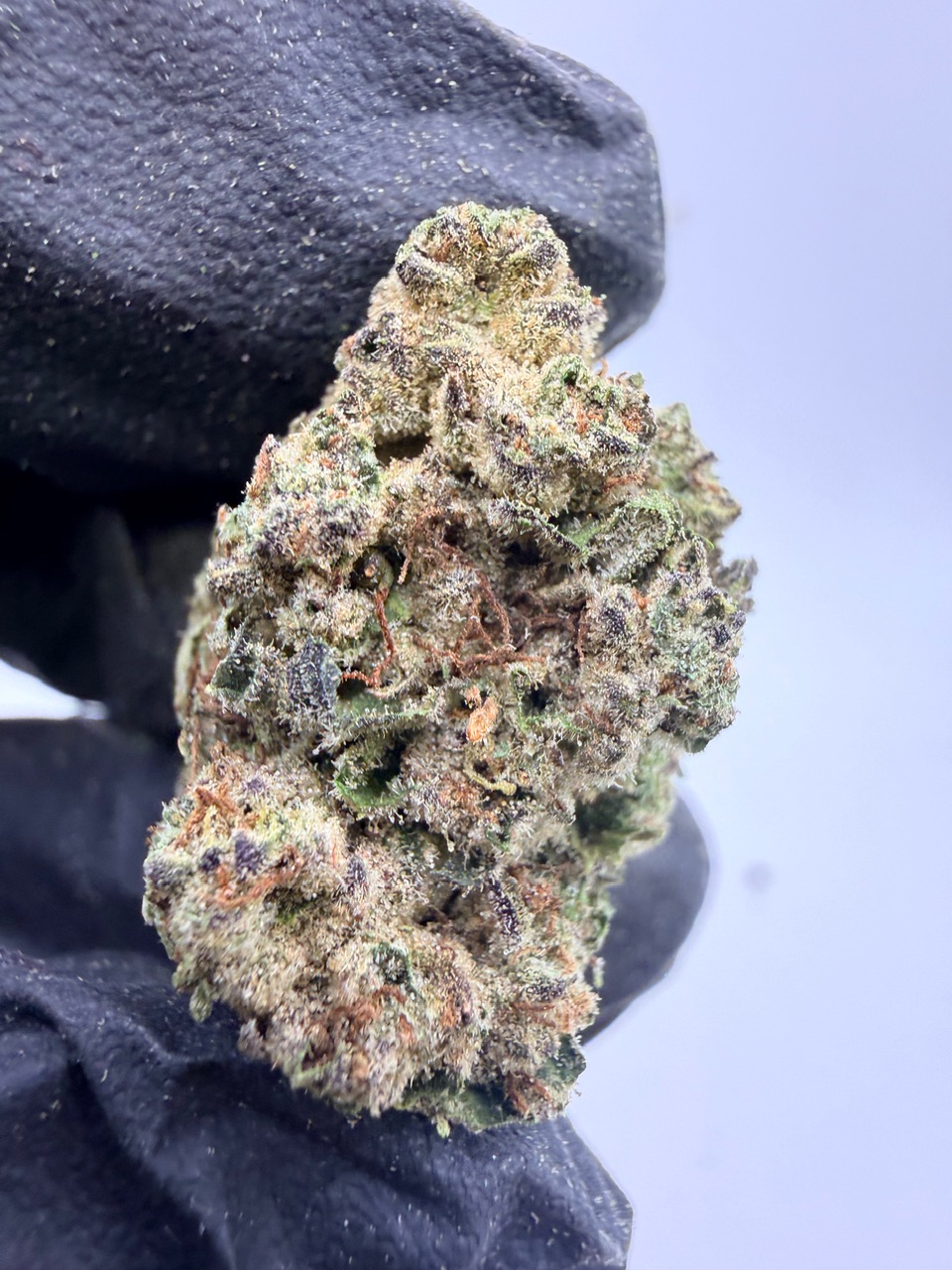 Purple Punch Digital Art