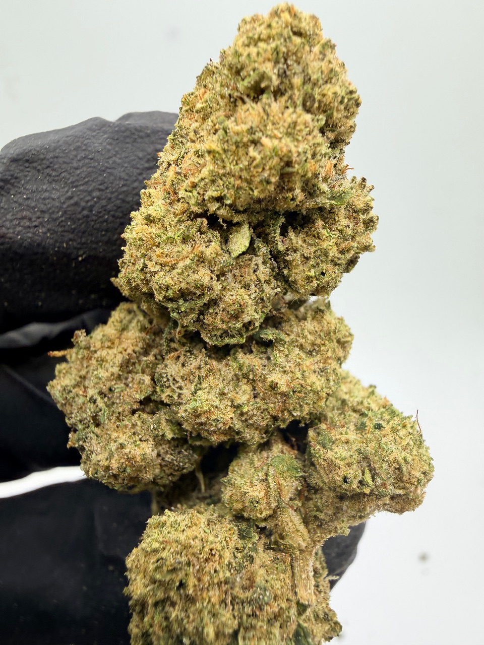 Northern Lights Digital Art - Image 9