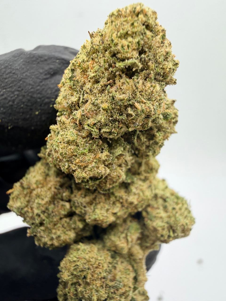 Northern Lights Digital Art