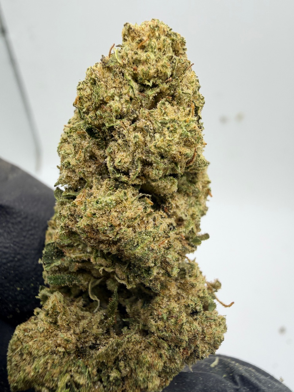 Northern Lights Digital Art - Image 7