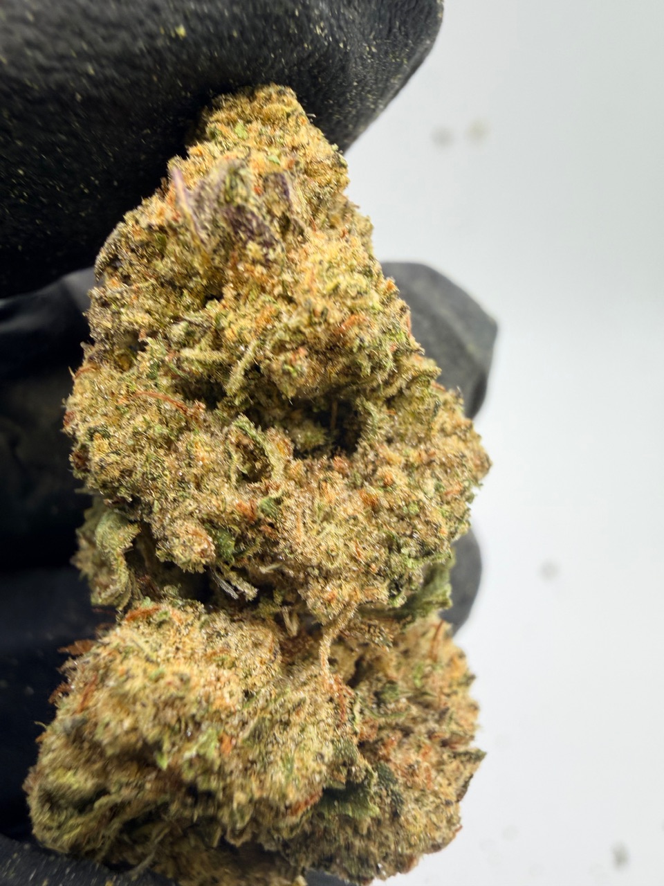 Northern Lights Digital Art - Image 5