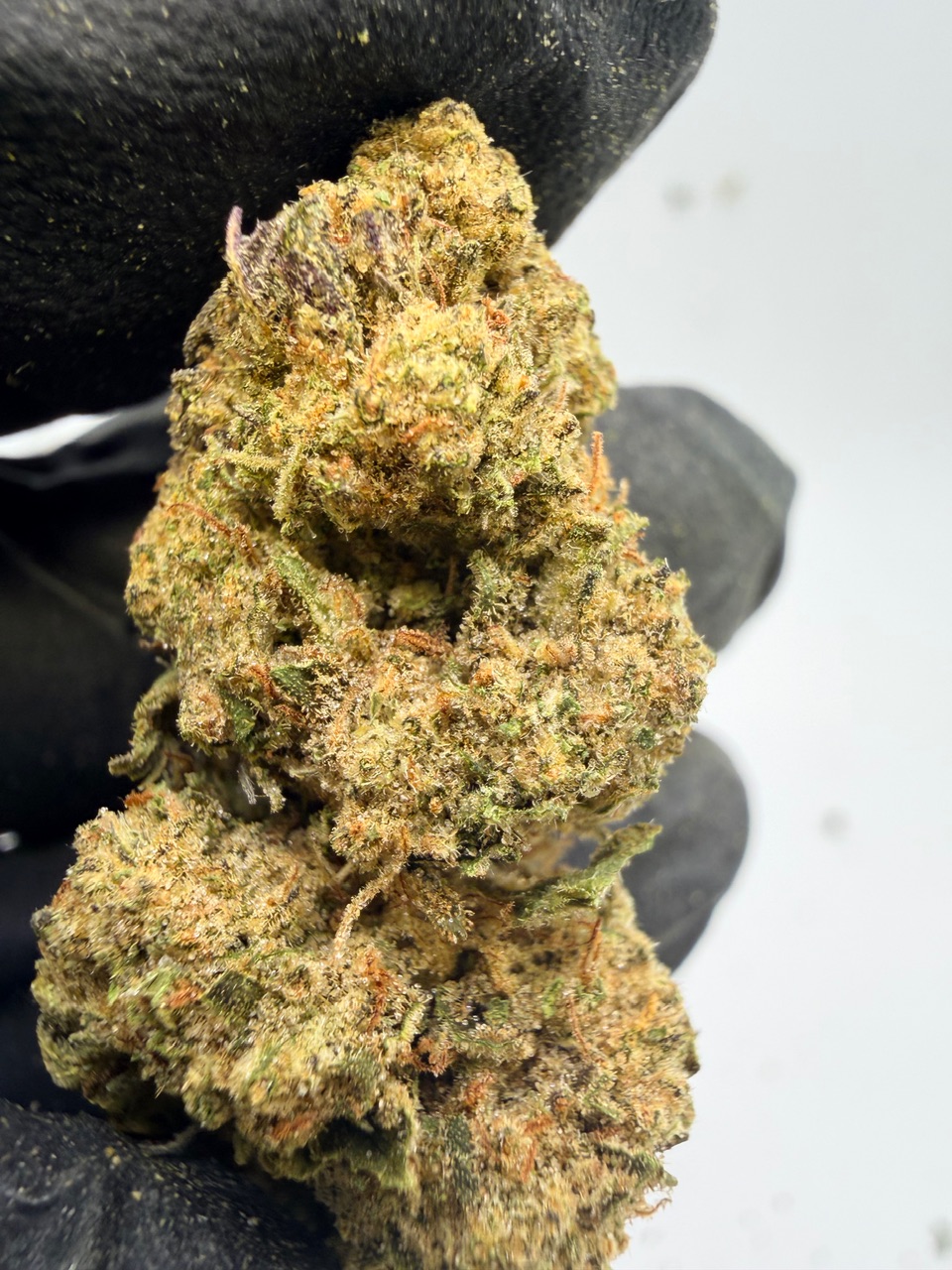 Northern Lights Digital Art - Image 4