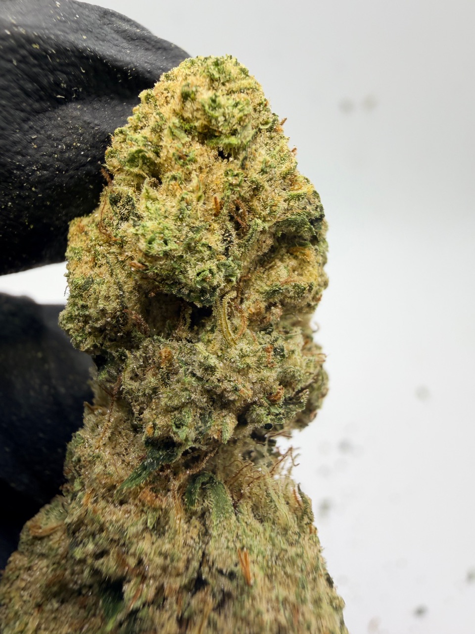 Northern Lights Digital Art - Image 2