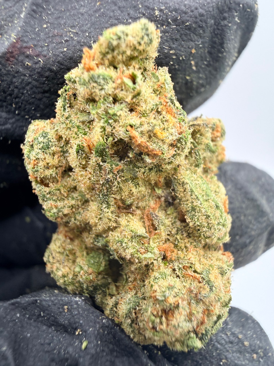 Glitter Bomb Digital Art