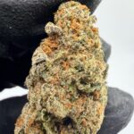 Maui Wowie Digital Art