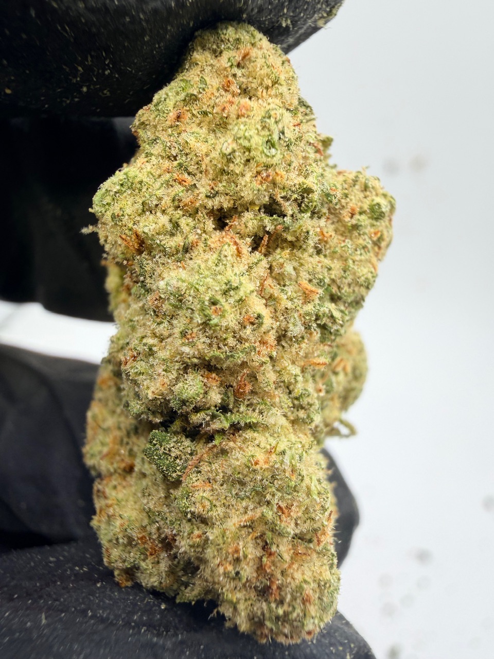 Insane Mac Digital Art - Image 8