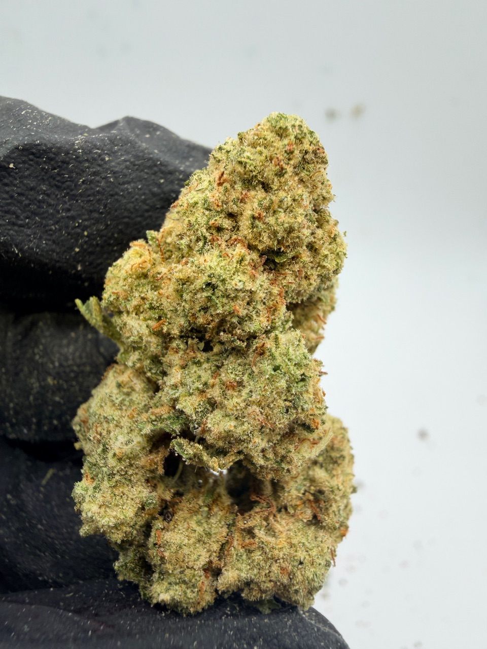 Insane Mac Digital Art - Image 5