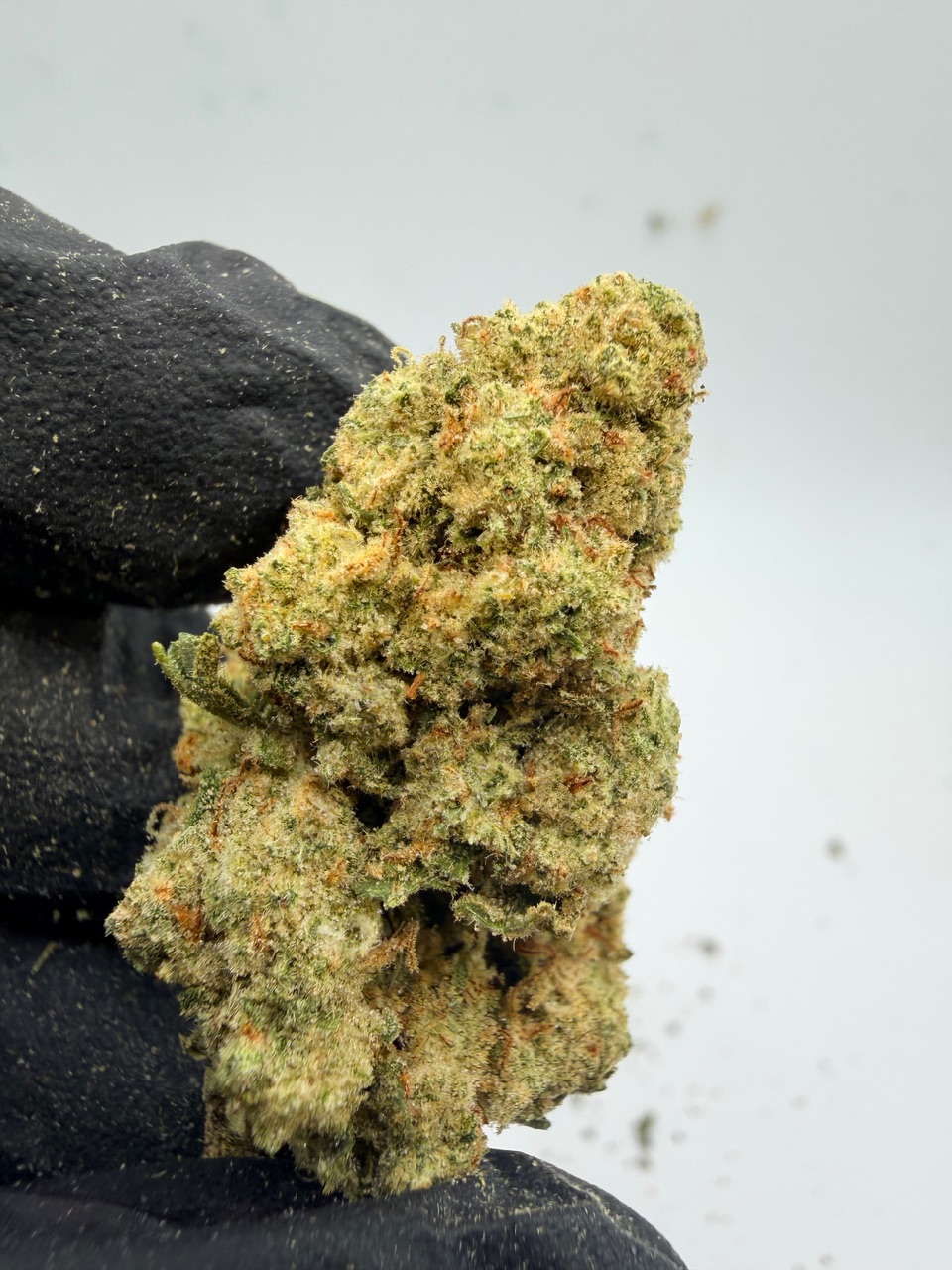 Insane Mac Digital Art - Image 4