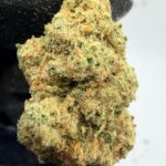 Insane Mac Digital Art