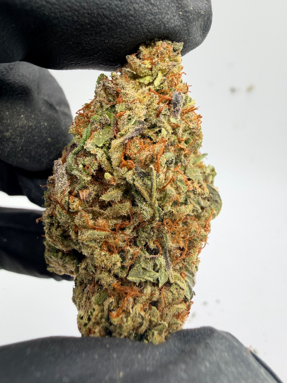 Durban Poison Digital Art - Image 8