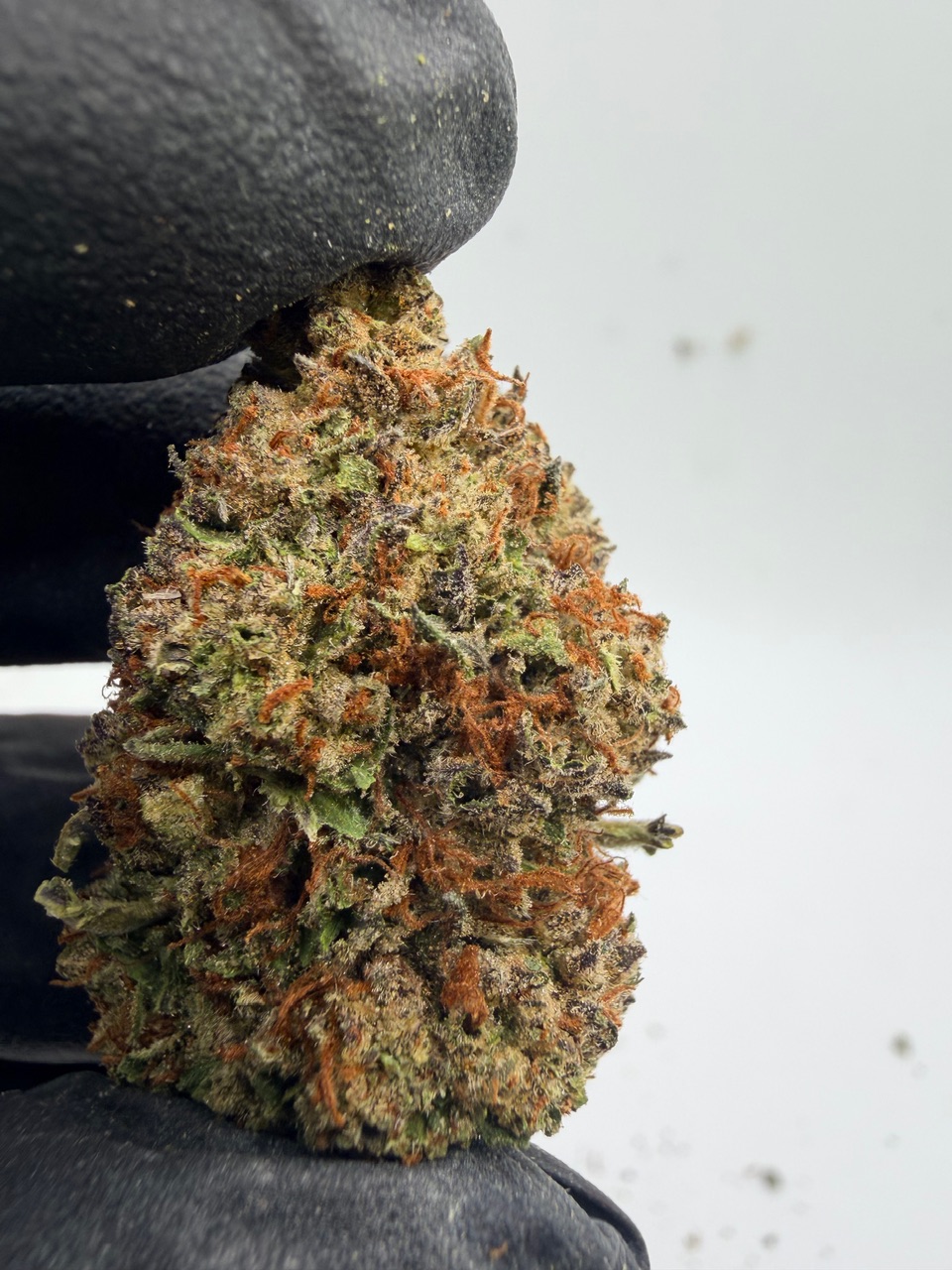 Durban Poison Digital Art - Image 9