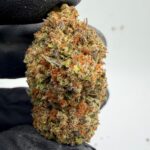 Durban Poison Digital Art