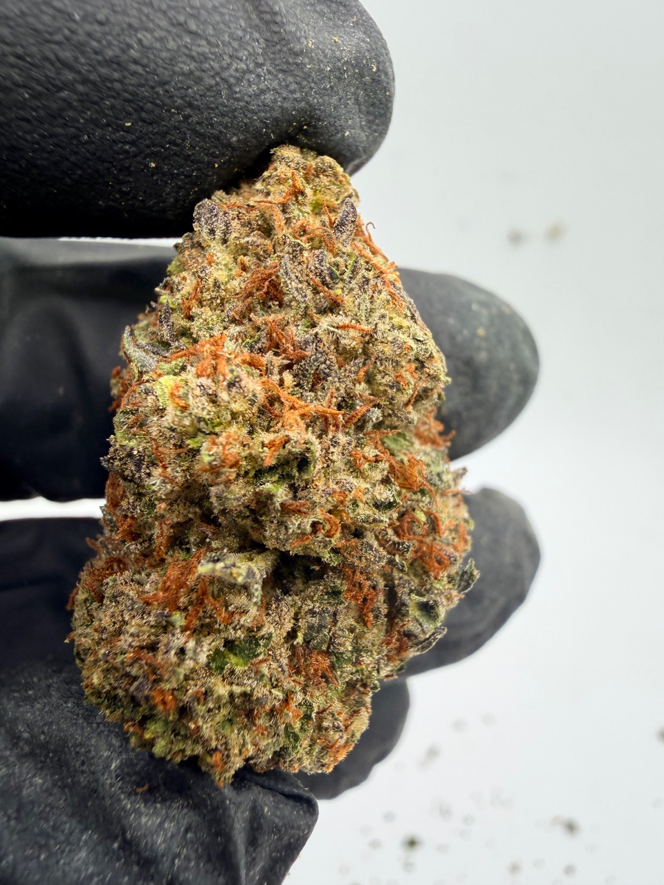 Durban Poison Digital Art - Image 6