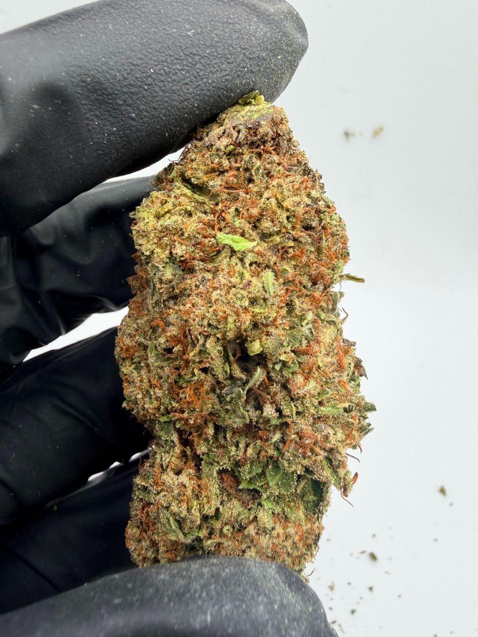 Durban Poison Digital Art - Image 5