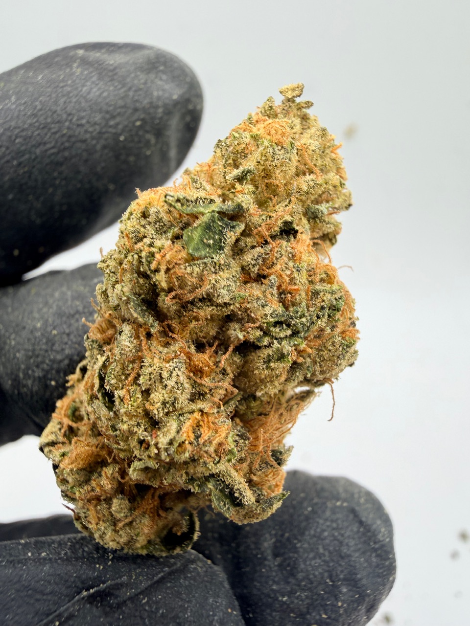 Washington Apple Digital Art