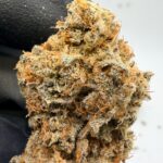 L’Orange Digital Art