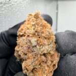 Moonbeam Digital Art