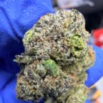 Blueberry Cloud Digital Art