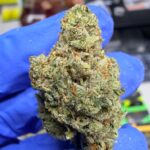 East Coast Sour Diesel Digital Art