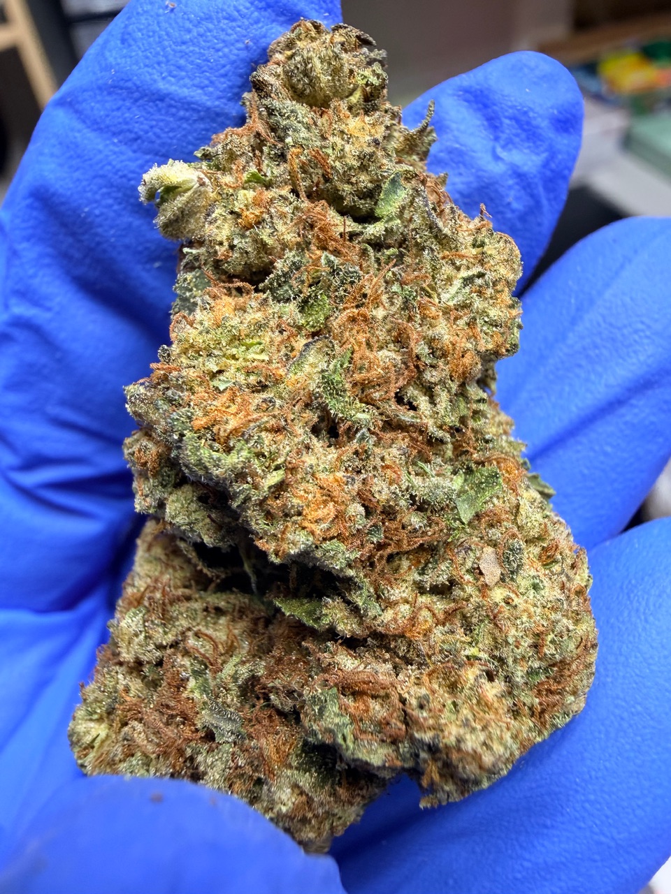 Kona Gold Digital Art - Image 3