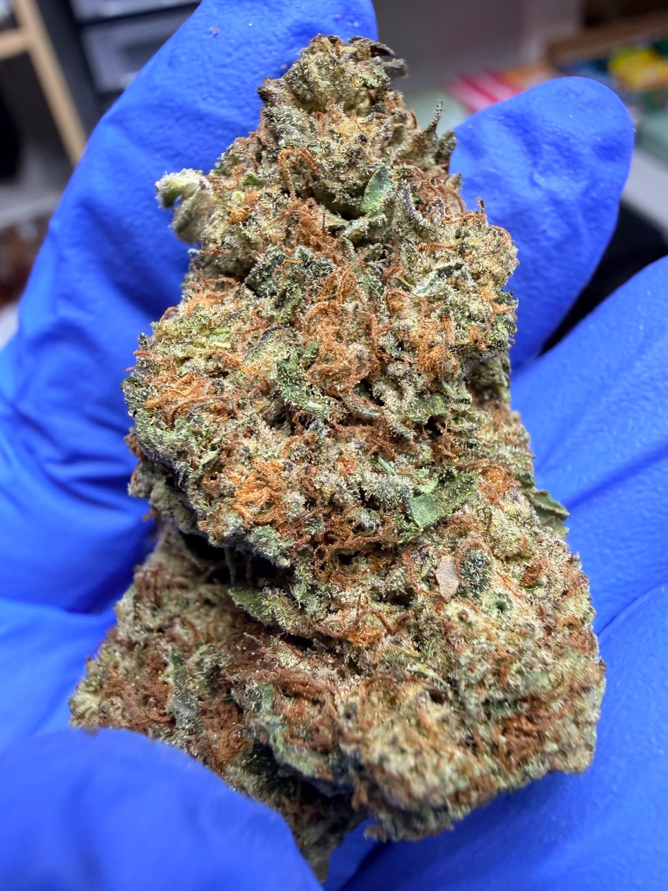 Kona Gold Digital Art - Image 4