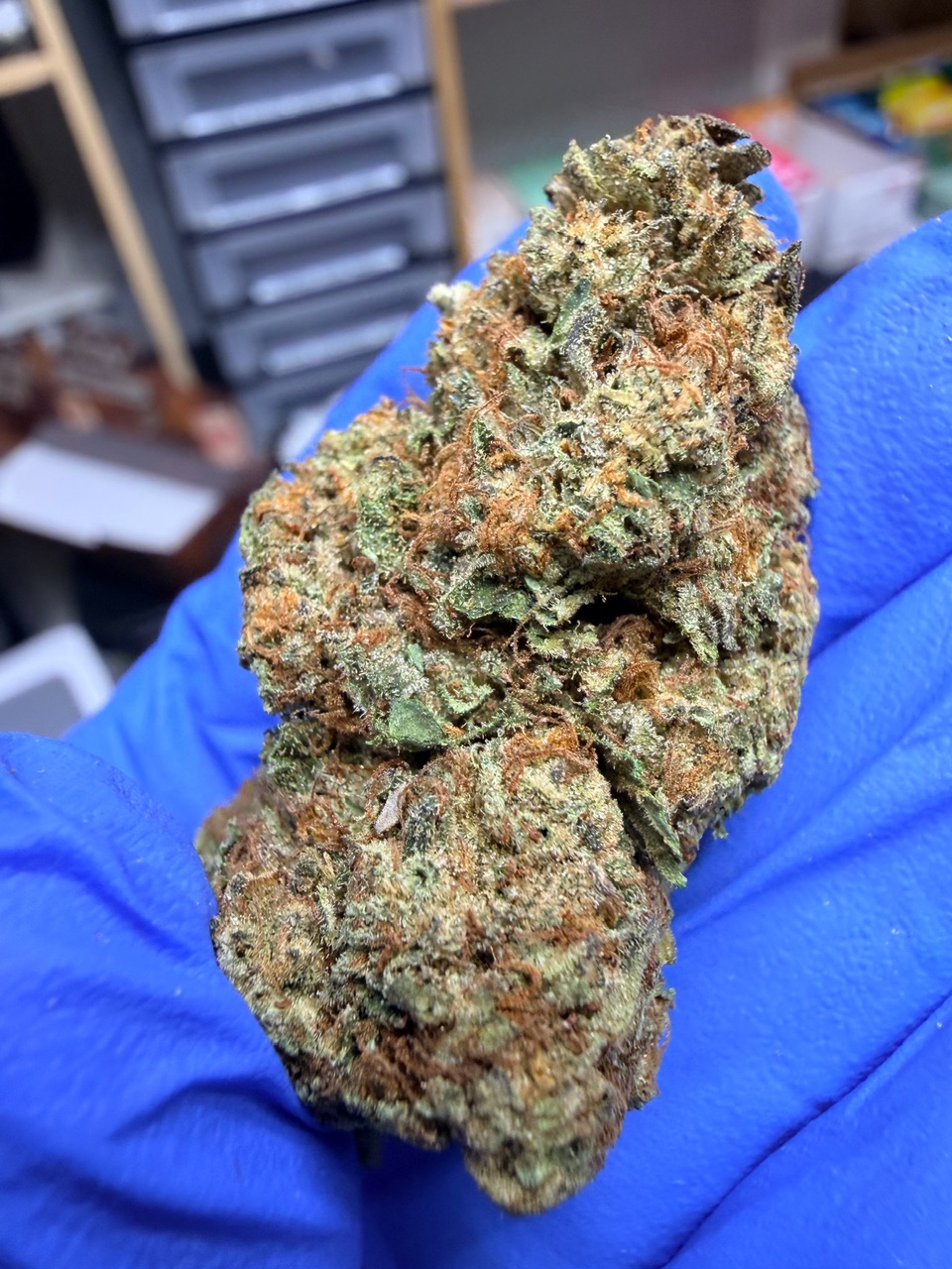 Kona Gold Digital Art - Image 5